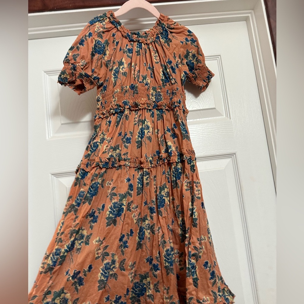 Ivy City Co mini rust  Dress with Blue Floral Print